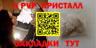 прущие грибы Тверь