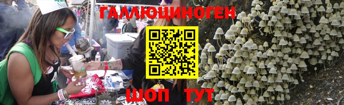 Назрань  Галлюциногенные грибы MAGIC MUSHROOMS  Вход с VPN 
